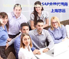 選擇上海悠遠(yuǎn)SAP咨詢公司，享受專業(yè)SAP金牌服務(wù)